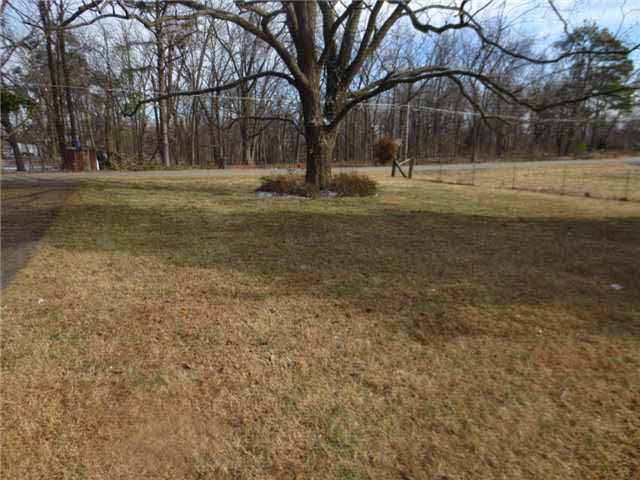 3009 Dolan Rd, Drummonds, TN 38023 photo 2