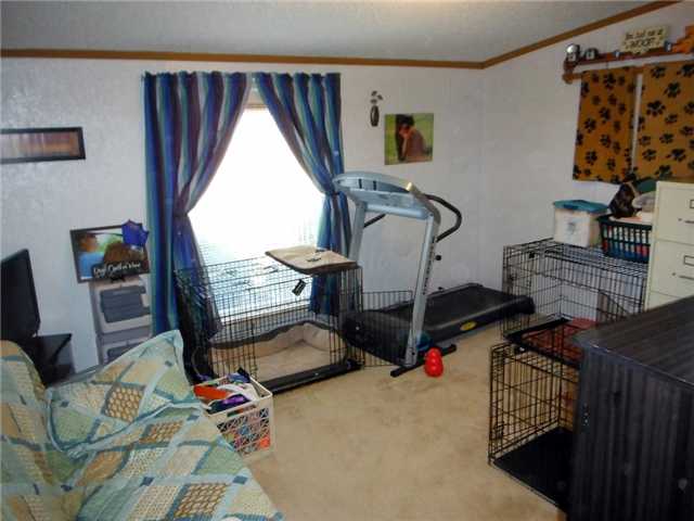 2201 Robert Johnson Rd, Covington, TN 38019 photo 20