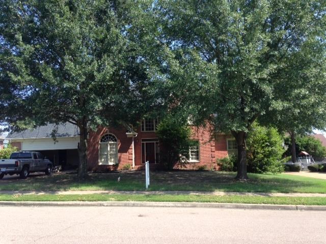 896 Crosswinds Way, Collierville, TN 38017 photo 1