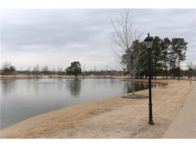 1981 Brooks Bluff Cv, Collierville, TN 38017 photo 19