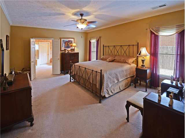755 Evans View Cv, Collierville, TN 38017 photo 7