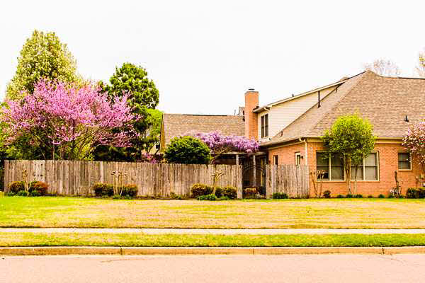755 Evans View Cv, Collierville, TN 38017 photo 17