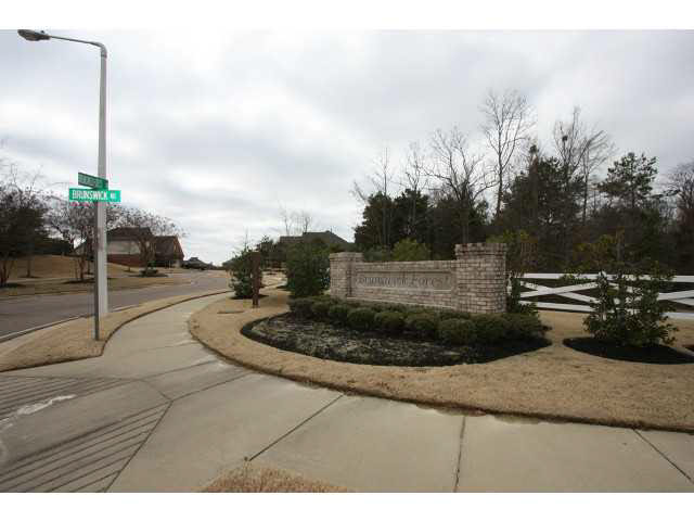8758 Brunswick Forest Dr, Bartlett, TN 38133 photo 22