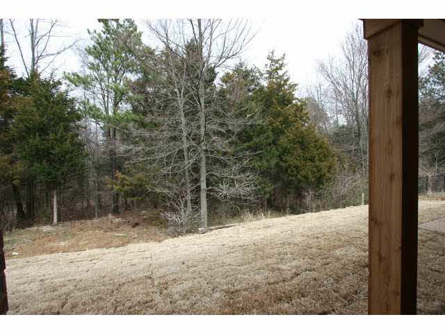 8758 Brunswick Forest Dr, Bartlett, TN 38133 photo 20