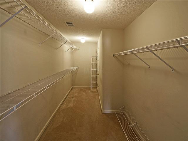 3818 Aaron Cv, Bartlett, TN 38135 photo 11
