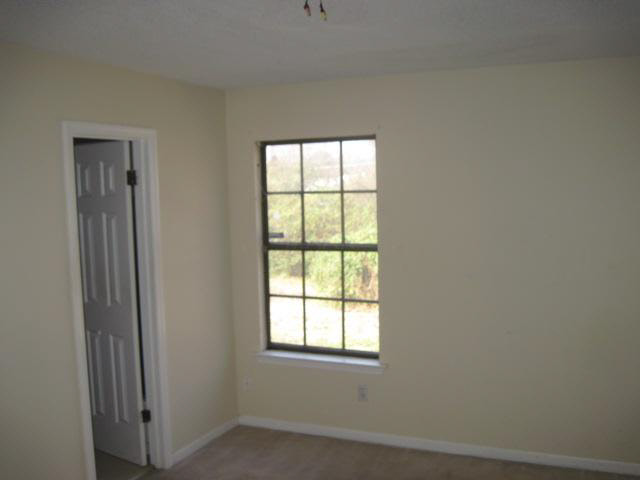 4209 Spring Leaf Ln, Memphis, TN 38141 photo 9
