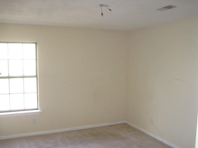 4209 Spring Leaf Ln, Memphis, TN 38141 photo 6