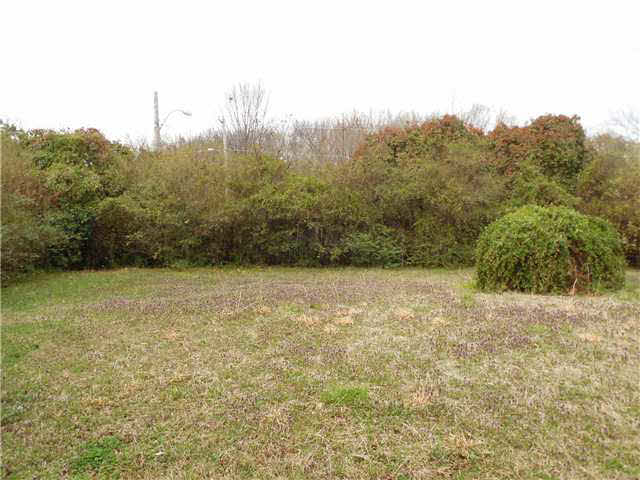 4209 Spring Leaf Ln, Memphis, TN 38141 photo 13