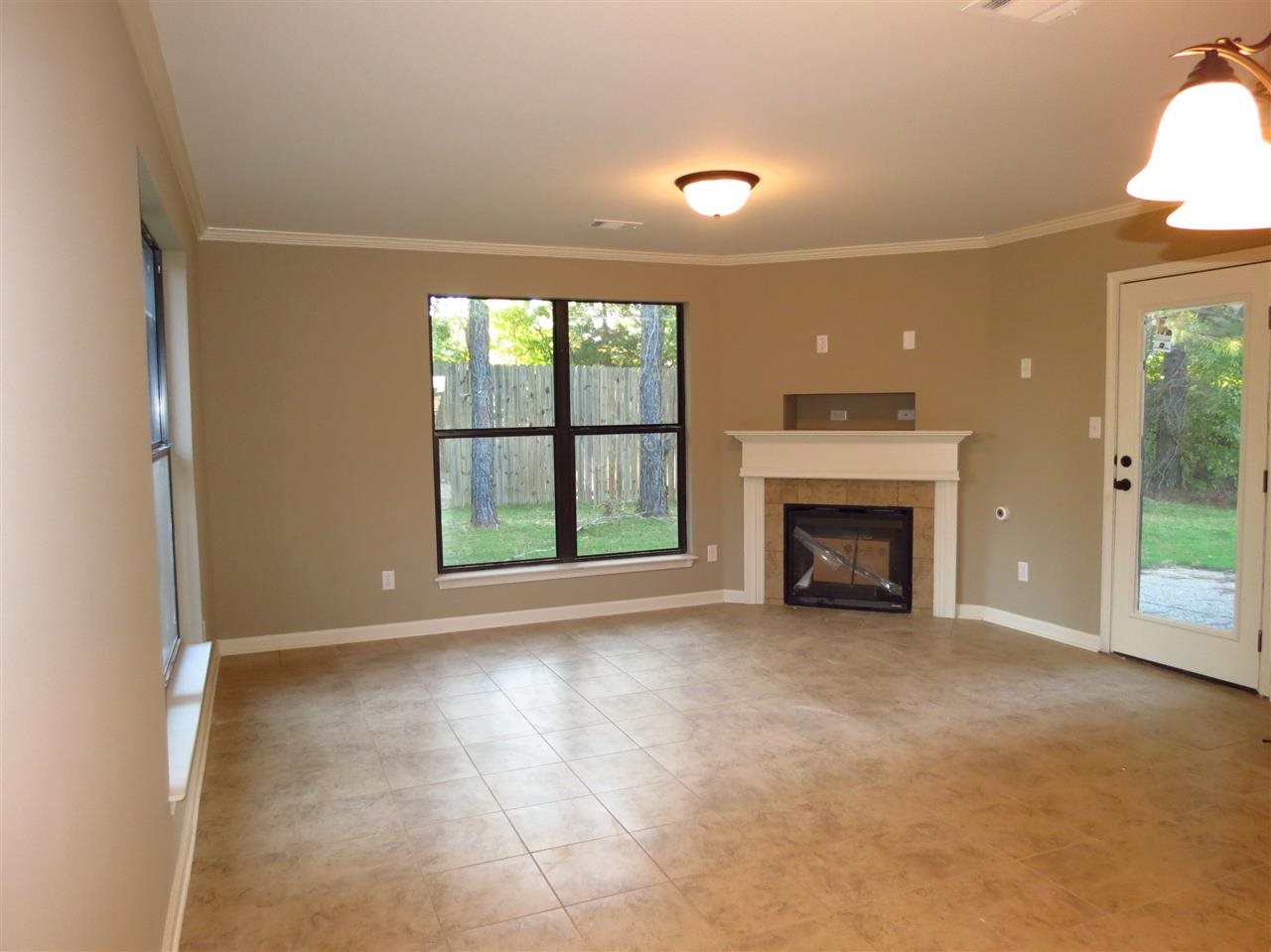 4711 Dylan Valley Dr, Bartlett, TN 38135 photo 5