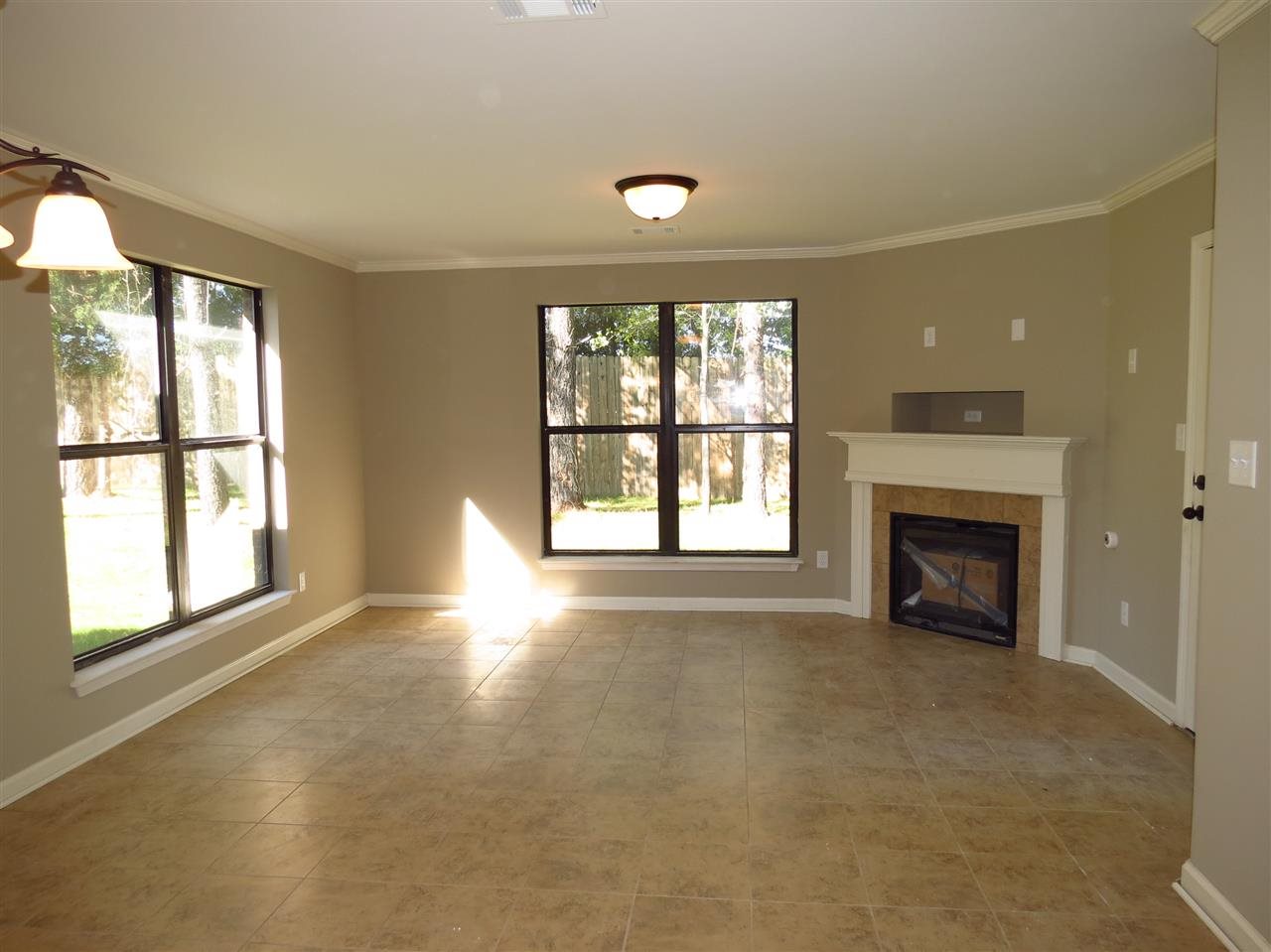 4711 Dylan Valley Dr, Bartlett, TN 38135 photo 3