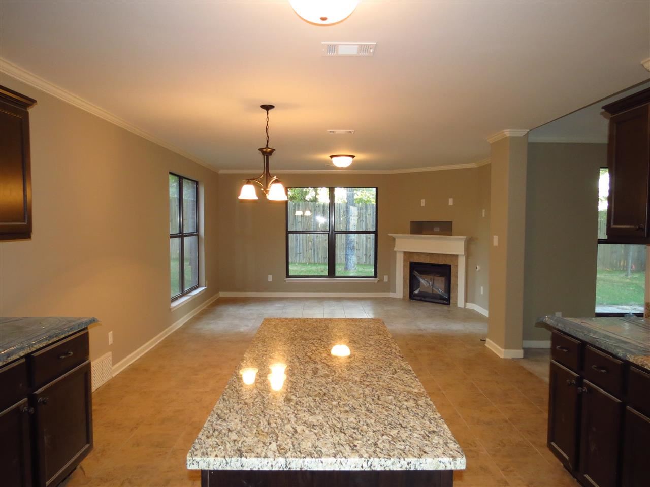 4711 Dylan Valley Dr, Bartlett, TN 38135 photo 4