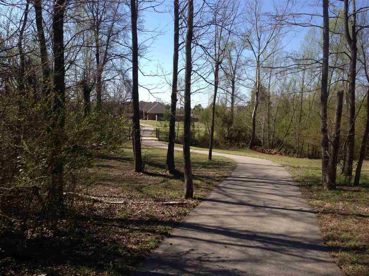 8759 Brunswick Forest Dr, Bartlett, TN 38133 photo 24