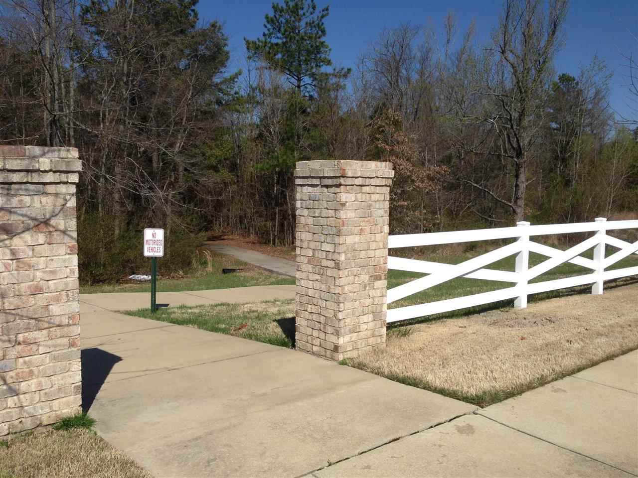 8759 Brunswick Forest Dr, Bartlett, TN 38133 photo 23