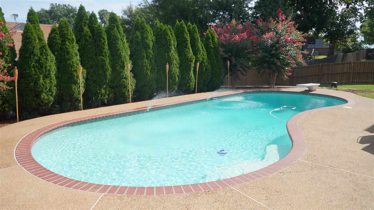 6756 Rabbittail, Arlington, TN 38002 photo 21