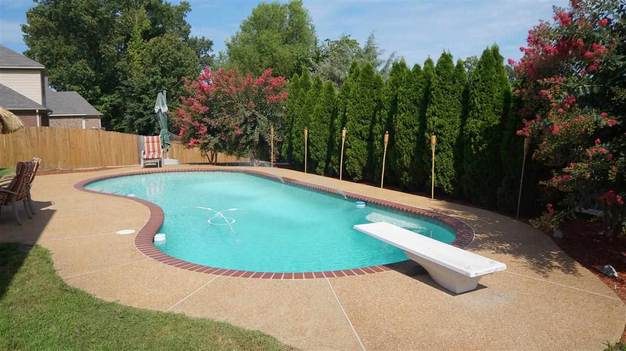 6756 Rabbittail, Arlington, TN 38002 photo 23
