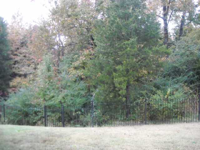 8776 Brunswick Forest Dr, Bartlett, TN 38133 photo 3