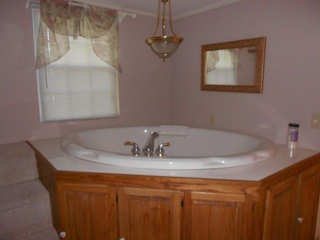 142 Abrams, Lutts, TN 38471 photo 13
