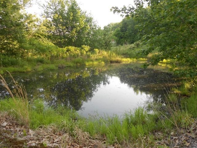 142 Abrams, Lutts, TN 38471 photo 19