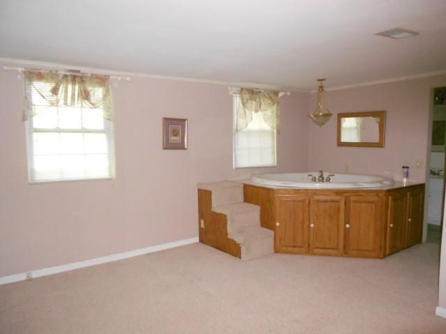 142 Abrams, Lutts, TN 38471 photo 12