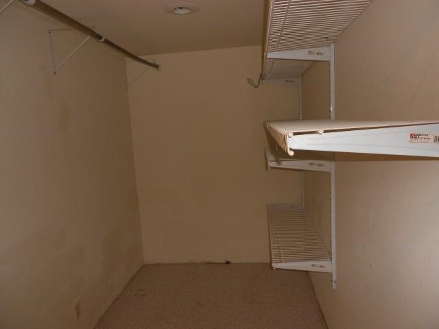 142 Abrams, Lutts, TN 38471 photo 14