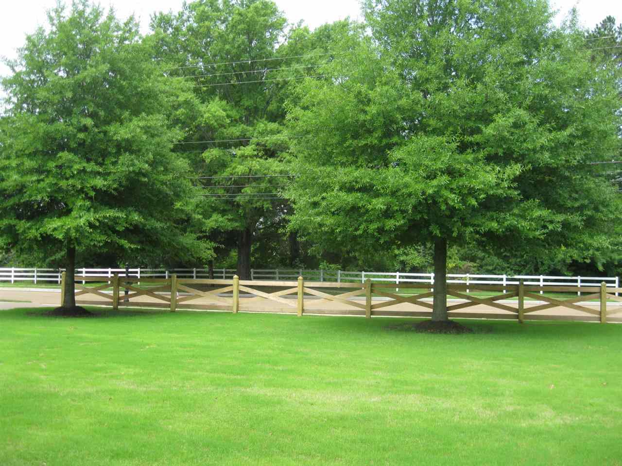 4442 Fleming Rd, Collierville, TN 38017 photo 3