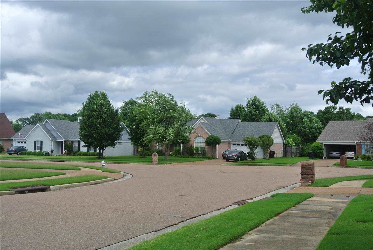 321 Wolf Run, Collierville, TN 38017 photo 25