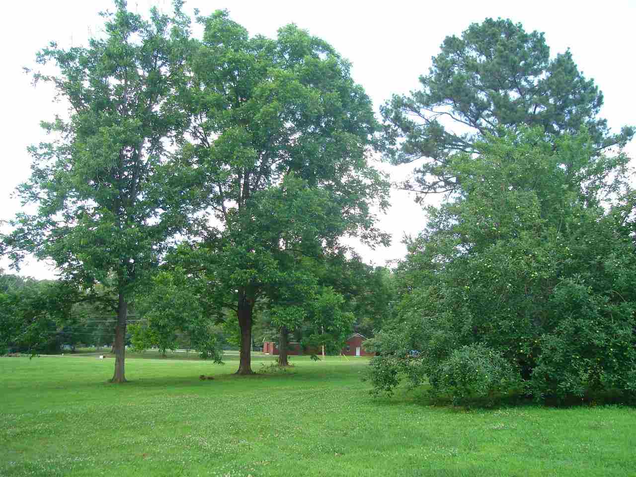 6170 Lagrange Rd, Unincorporated, TN 38068 photo 21