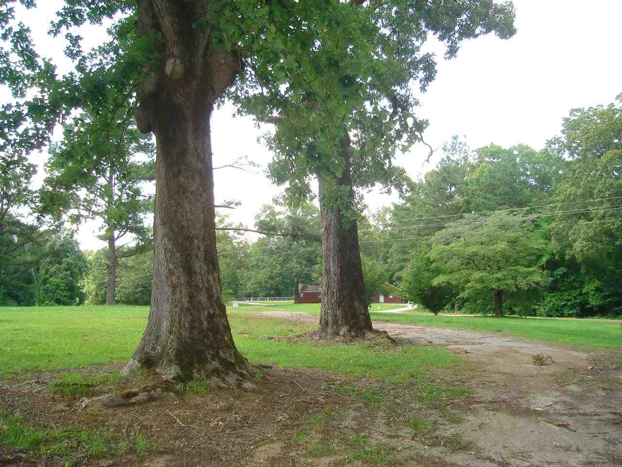 6170 Lagrange Rd, Unincorporated, TN 38068 photo 20