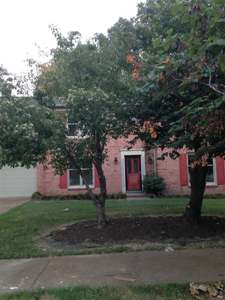 3122 Altruria, Bartlett, TN 38134 photo 7