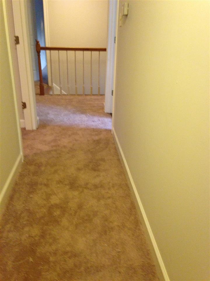 3122 Altruria, Bartlett, TN 38134 photo 9