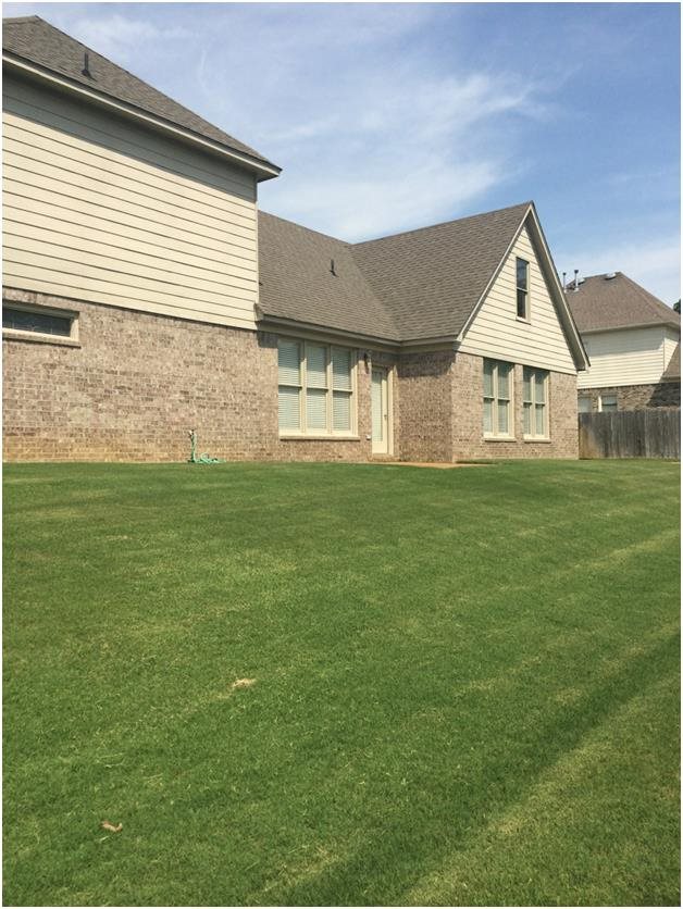 4550 Dietz Cv Cv, Bartlett, TN 38135 photo 13