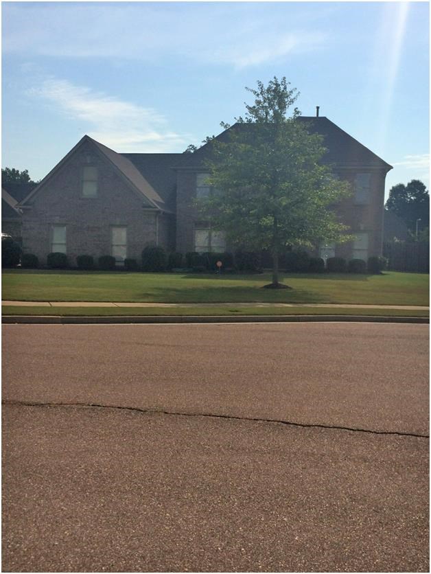 4550 Dietz Cv Cv, Bartlett, TN 38135 photo 1