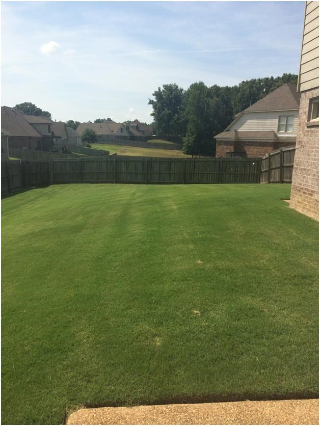 4550 Dietz Cv Cv, Bartlett, TN 38135 photo 14