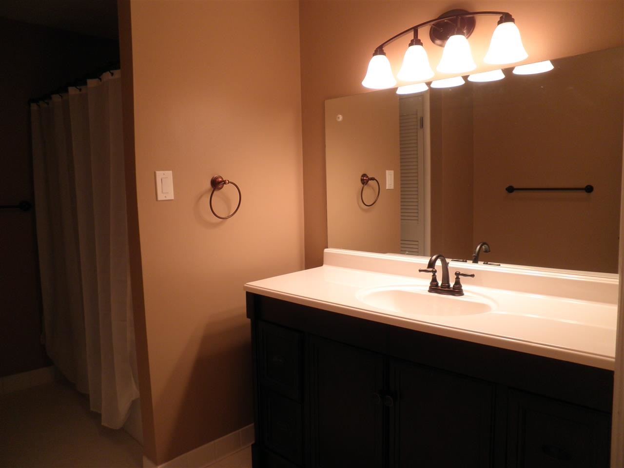 331 Burley Cv, Collierville, TN 38017 photo 14