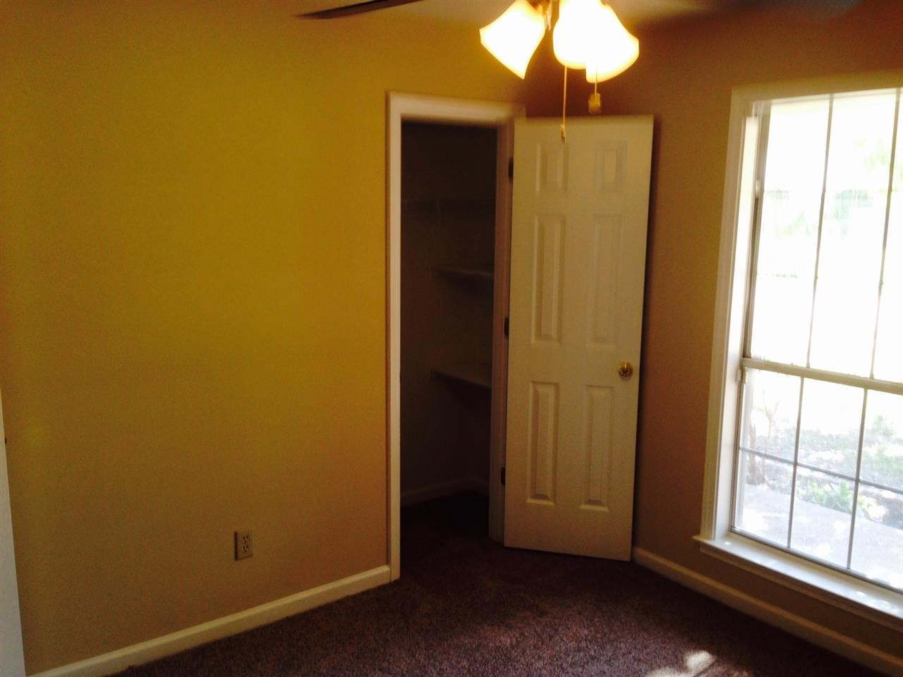 6636 Wild Dr, Bartlett, TN 38135 photo 9