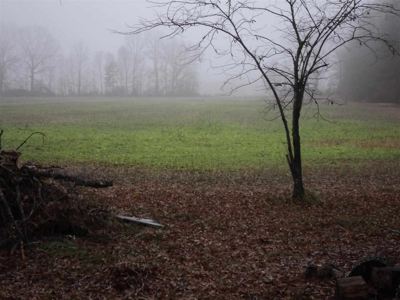 545 Hack Bridge Rd, Guys, TN 38339 photo 15