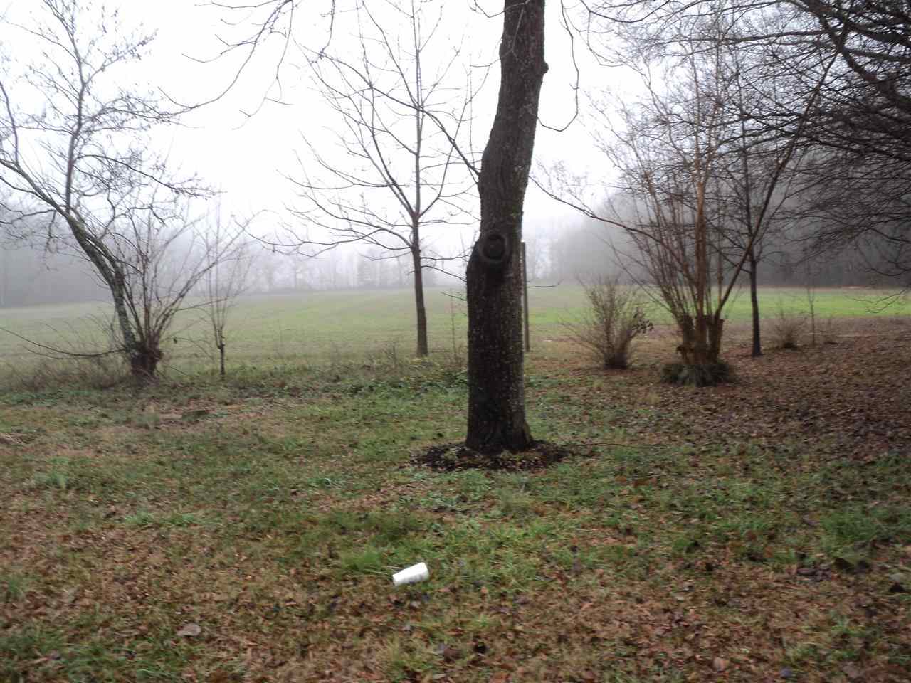 545 Hack Bridge Rd, Guys, TN 38339 photo 19