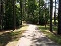 6290 Bending Riv, Bartlett, TN 38135 photo 16
