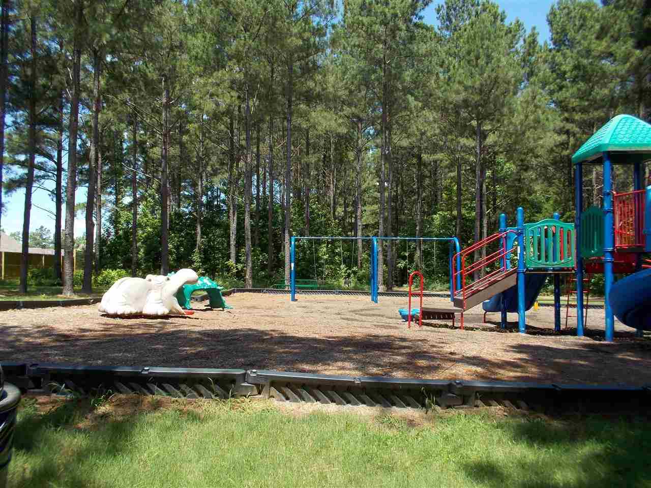 4830 Duck River Rd, Bartlett, TN 38135 photo 22