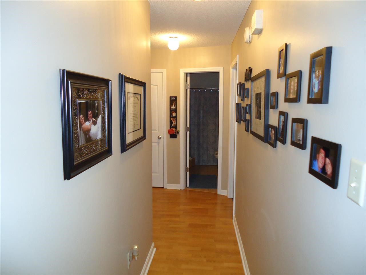 4613 Shadow Field Ln, Arlington, TN 38002 photo 10