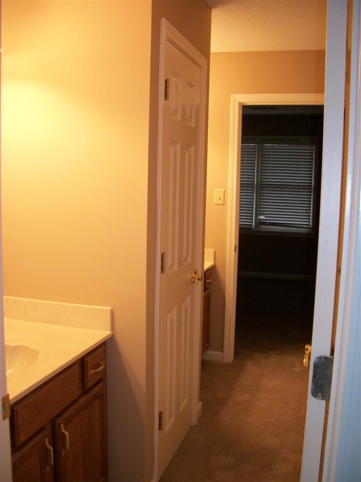 6831 Tree Breeze Cv, Bartlett, TN 38135 photo 18