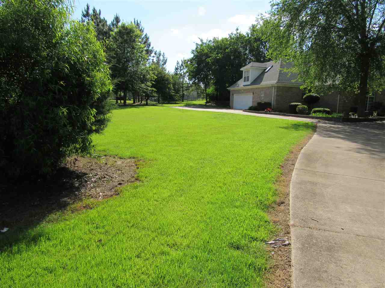 9359 Forest Wind Dr, Collierville, TN 38017 photo 3