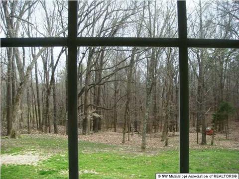 10849 Sullivan Rd, Hernando, MS 38632 photo 6