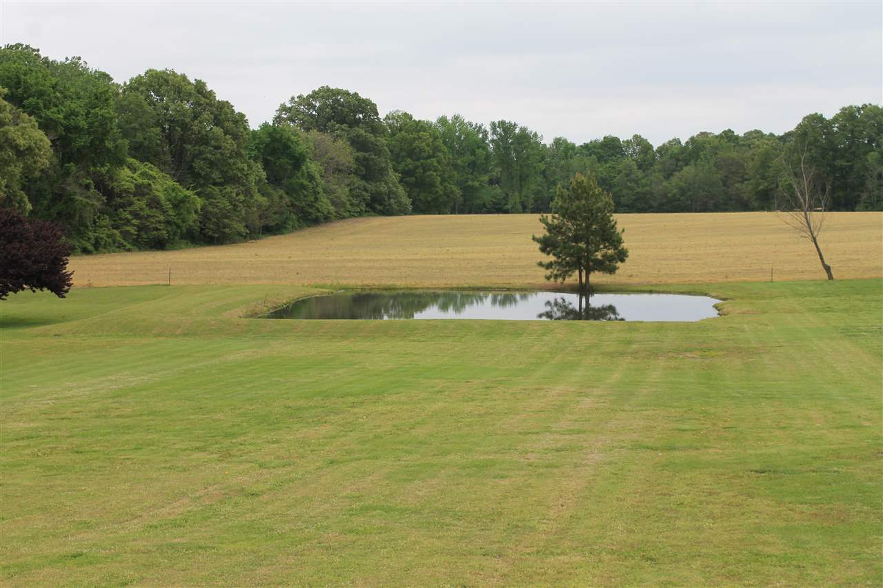 7148 Mt Carmel, Covington, TN 38019 photo 2