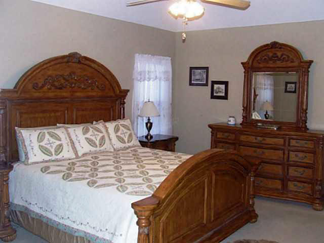3376 Wolf Shadow Ln, Bartlett, TN 38133 photo 12