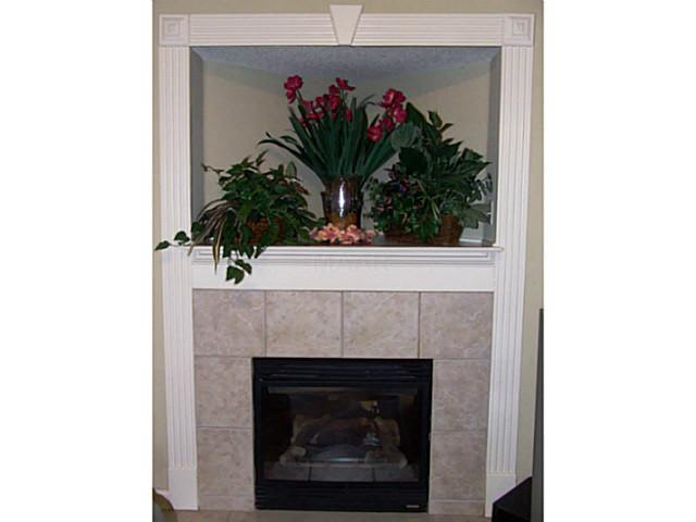 3376 Wolf Shadow Ln, Bartlett, TN 38133 photo 4