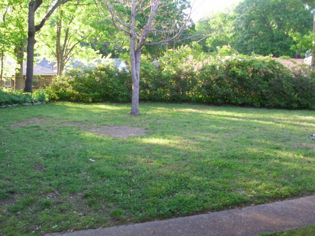 3465 Powers Rd, Memphis, TN 38128 photo 11