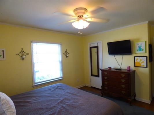 3905 Lytle Cir, Memphis, TN 38122 photo 10