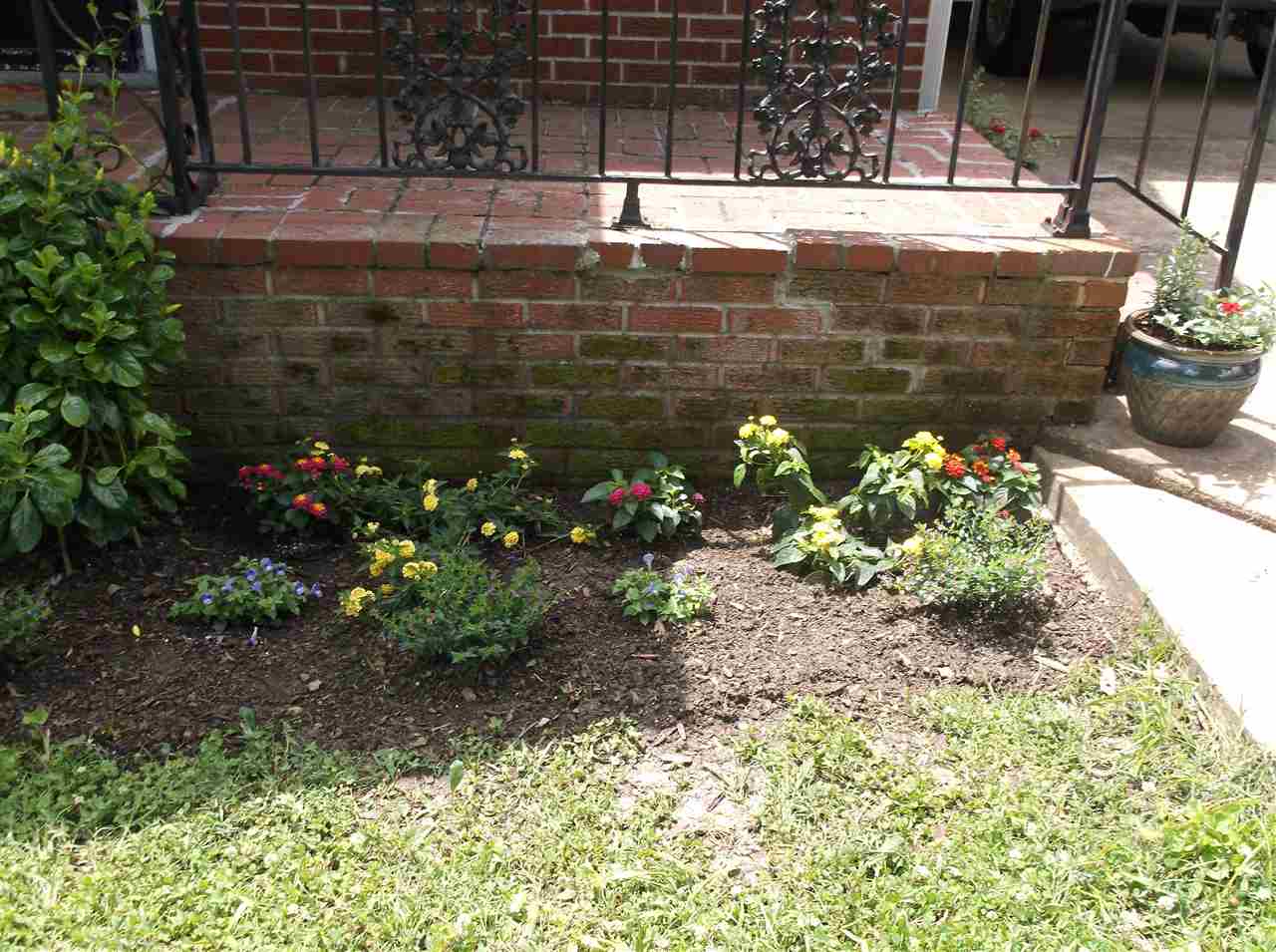 307 Pleasant Ave, Covington, TN 38019 photo 3