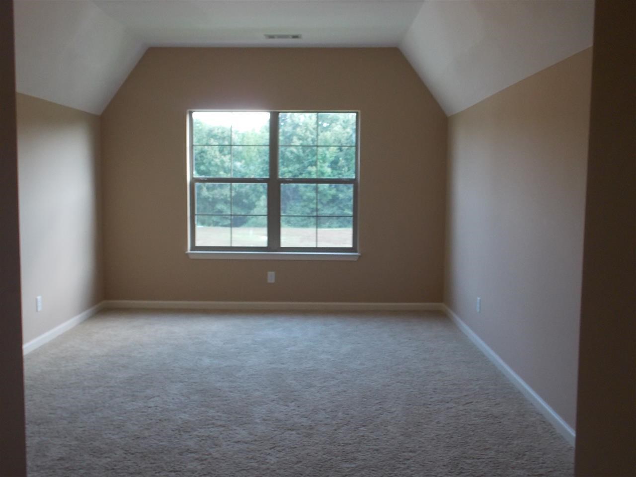 6945 Snowshoe Dr, Arlington, TN 38002 photo 25